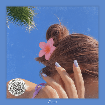Summer edge ジャケット