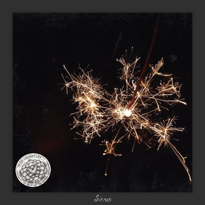 firework ジャケット