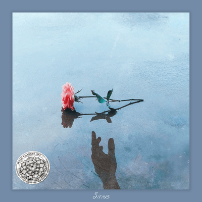 Still Blue ジャケット