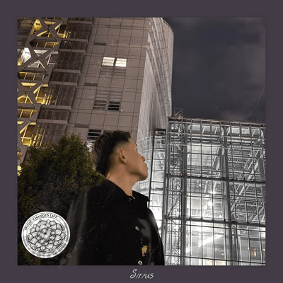 This Night ジャケット